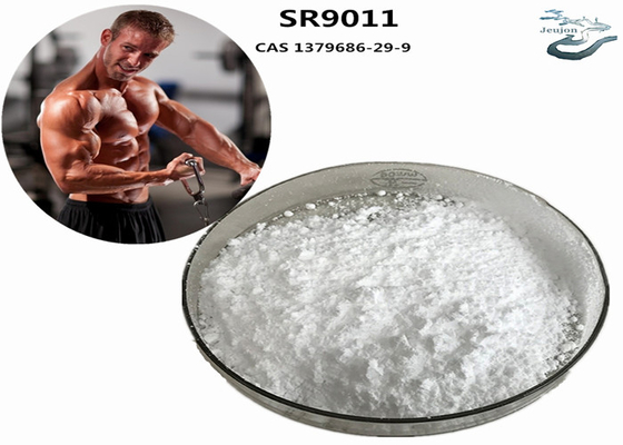 SR9011 সারমস ফ্যাট বার্নিং জিম পাউডার CAS 1379686-29-9 বডি বিল্ডিং সম্পূরক