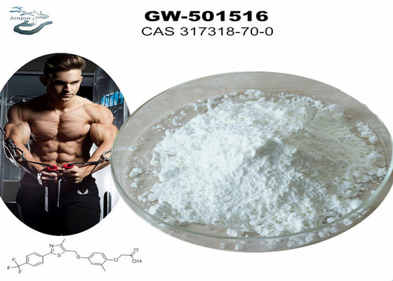 GW 501516 GSK-516 সারমস জিম পাউডার বডি বিল্ডিং CAS 317318-70-0